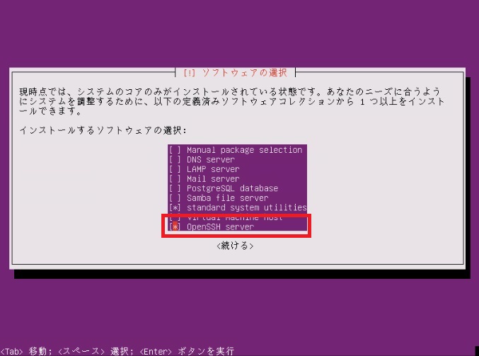 ubuntu_server_install24